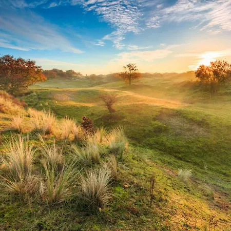 Zeemeeuw By Interhome