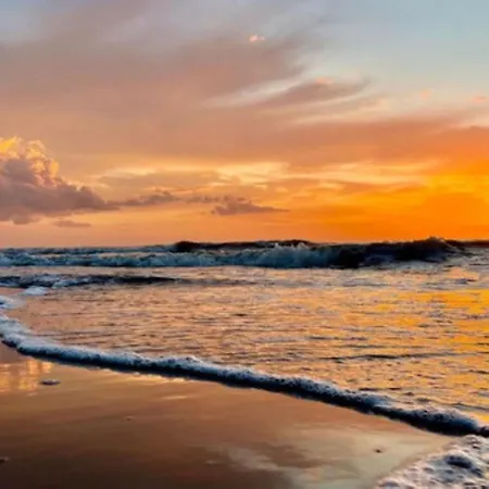 Zeemeeuw By Interhome *