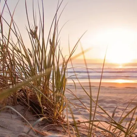 Zeemeeuw By Interhome 別荘 *