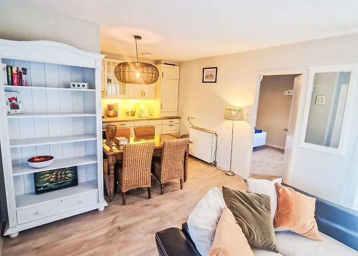 Zeemeeuw By Interhome Casa de Férias Noordwijkerhout