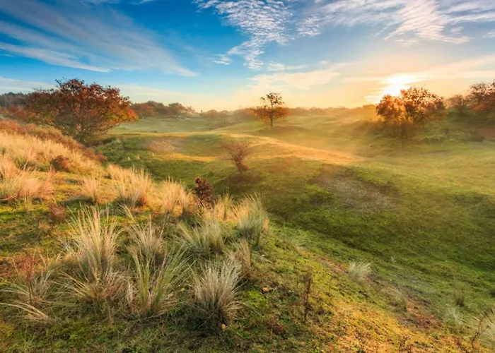 Zeemeeuw By Interhome