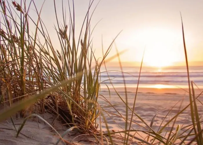 Zeemeeuw By Interhome Casa de Férias *