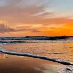 Zeemeeuw By Interhome *