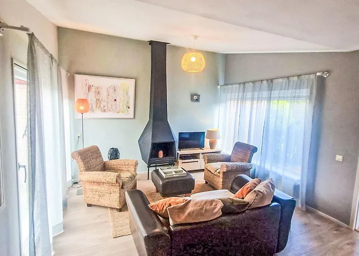 Zeemeeuw By Interhome Tatil Evi Noordwijkerhout