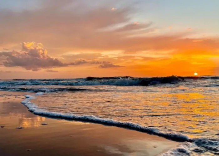 Zeemeeuw By Interhome *